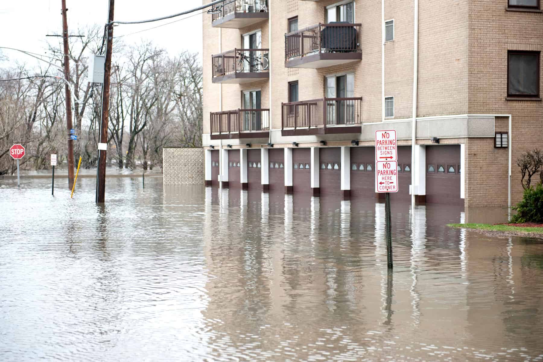 water mitigation