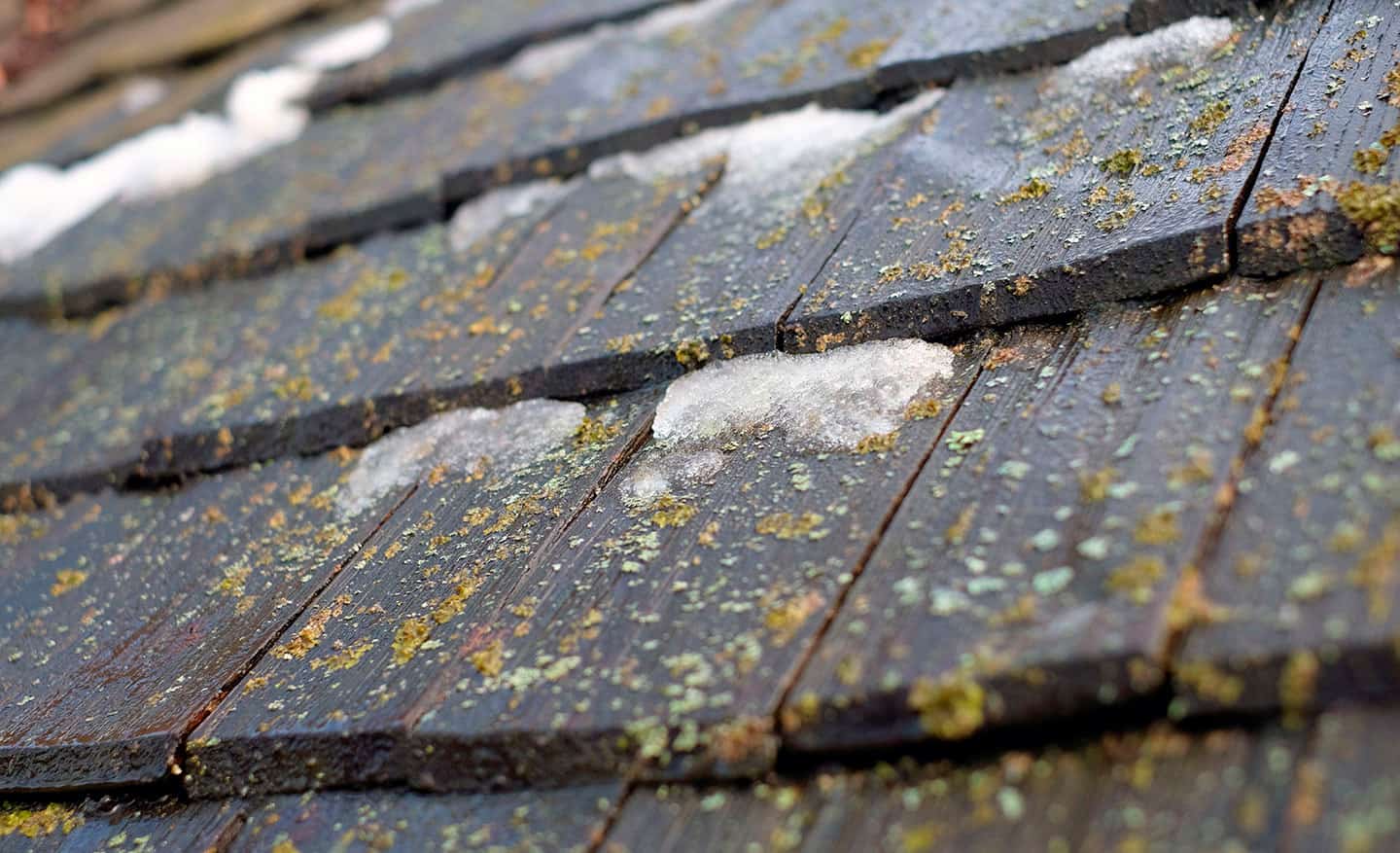 how much hail damage to replace roof