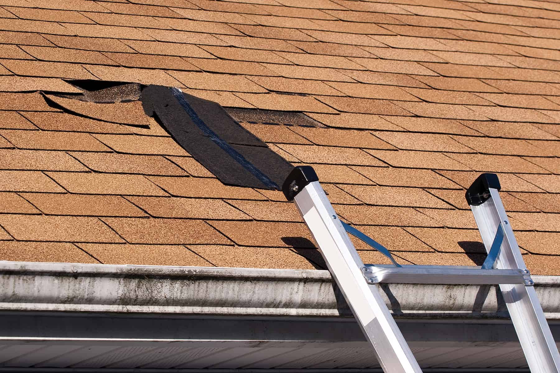 wind damage roof insurance